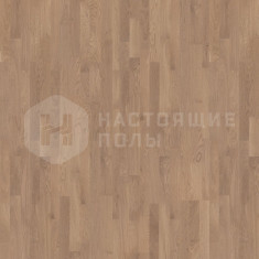 550058094 Дуб Ирис однополосный, 2215*164*14 мм