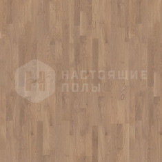 550058093 Дуб Ирис однополосный, 2015*164*14 мм