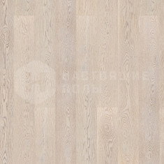 550058096 Дуб Белый Опал однополосный, 2215*164*14 мм