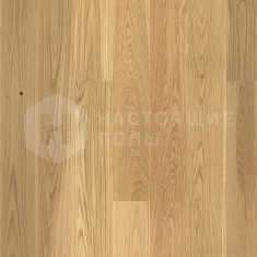 550058085 Дуб Барон однополосный, 2015*164*14 мм