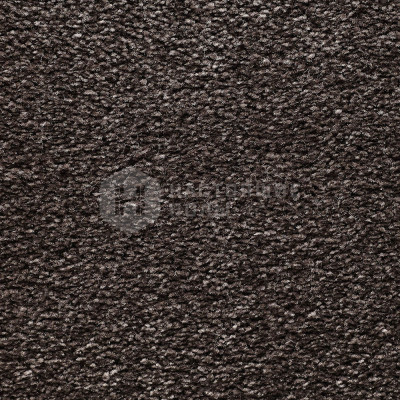 Ковролин Edel Bellezza 183 Talpa, 4000 мм