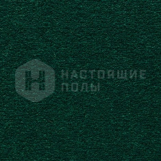 284 Spruce, 4000 мм