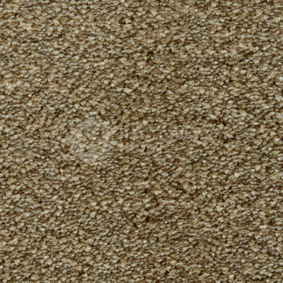 Ковролин Edel Wild Romance 344 Salix, 4000 мм