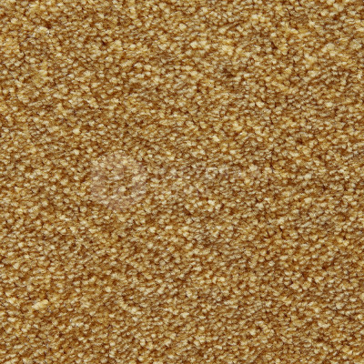 Ковролин Edel Wild Romance 353 Honey, 4000 мм