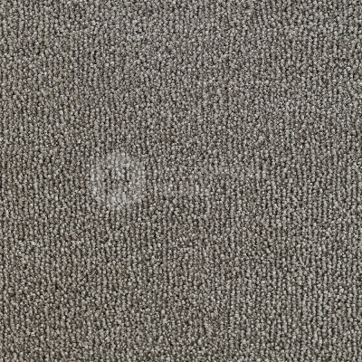 Ковролин Edel Eternity 173 Squirrel, 4000 мм