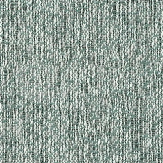 MIRA J558 D50 Polar, 500*500*3.7 мм