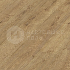 7001 Дуб Шампань однополосный, 1288*198*8 мм