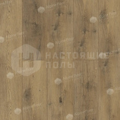 ECO 24-1 Дуб Альто, 1524*228*12 мм