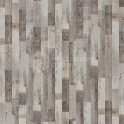 Ламинат Tarkett Robinson 504035075 Сосна Гималайская Ламинат Tarkett Robinson 504035075 Сосна Гималайская