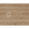 SPC плитка замковая Evofloor Life Click S042 Дуб Самос, 1120*184*4.2 мм