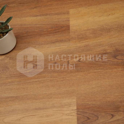 SPC плитка замковая Evofloor Optima Click 3152-9 Дуб Янтарный, 1120*184*4.2 мм