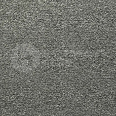 Westminster 79 Bionic, 4000 мм