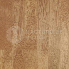 ALX1016PL Дуб золотой натуральный, 600-2000*160*15 мм