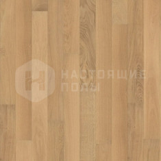 ALX1018PL Дуб бежевый натуральный, 600-2000*160*15 мм