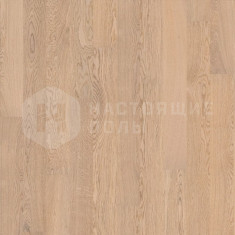 ALX1020PL Дуб светлый матовый, 600-2000*160*15 мм