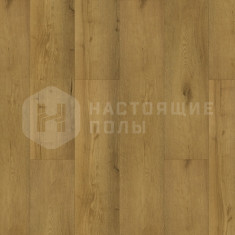 604 Кардинал, 1220*228*6 мм