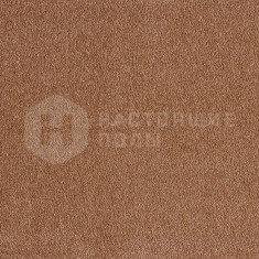 Obsession 84, 5000 мм