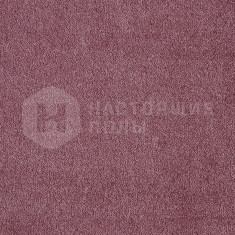 Seduction 67, 5000 мм