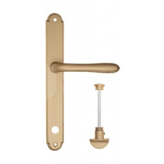 FCT2779 WC-2 PL01-BS матовая латунь