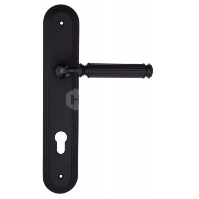 Дверная ручка Fratelli Cattini Encia FCT2283 CYL PL288-NM матовый черный Дверная ручка Fratelli Cattini Encia FCT2283 CYL PL288-NM матовый черный