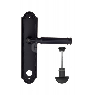 Дверная ручка Fratelli Cattini Encia FCT2291 WC-2 PL248-NM матовый черный