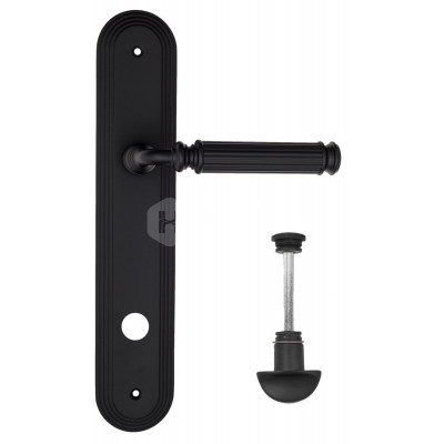 Дверная ручка Fratelli Cattini Encia FCT2293 WC-2 PL288-NM матовый черный