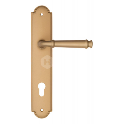 Дверная ручка Fratelli Cattini Farfalla FCT2106 CYL PL257-BS матовая латунь