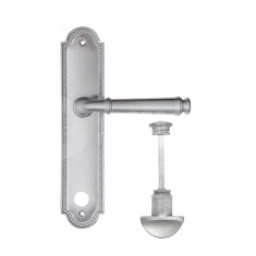 FCT2130 WC-2 PL248-CS матовый хром