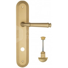 FCT2117 WC-2 PL288-BS матовая латунь