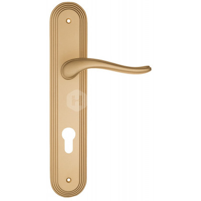 Дверная ручка Fratelli Cattini Lavera FCT1435 CYL PL288-BS матовая латунь