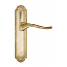 FCT1356 PL248-OLV полированная латунь