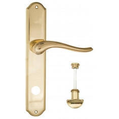 FCT1340 WC-2 PL02-OLV полированная латунь