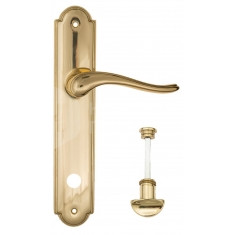 FCT1332 WC-2 PL257-OLV полированная латунь