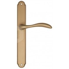 FCT2619 PL01-BS матовая латунь