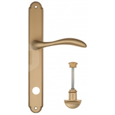 FCT2624 WC-2 PL01-BS матовая латунь