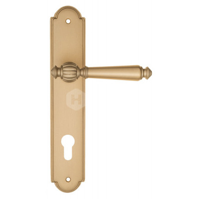 Дверная ручка Fratelli Cattini Marani FCT1419 CYL PL257-BS матовая латунь Дверная ручка Fratelli Cattini Marani FCT1419 CYL PL257-BS матовая латунь