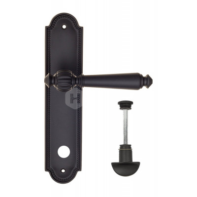 Дверная ручка Fratelli Cattini Marani FCT1308 WC-2 PL248-NM матовый черный