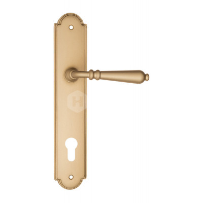 Дверная ручка Fratelli Cattini Napoli FCT2487 CYL PL257-BS матовая латунь