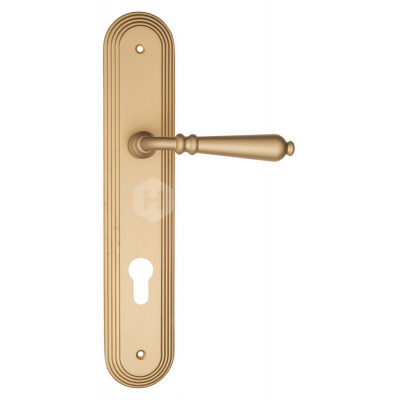 Дверная ручка Fratelli Cattini Napoli FCT2488 CYL PL288-BS матовая латунь