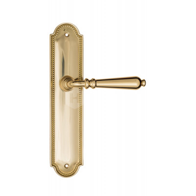 Дверная ручка Fratelli Cattini Napoli FCT2476 PL248-OLV полированная латунь