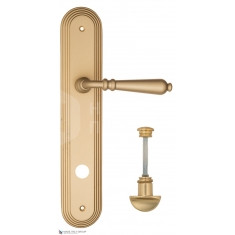 FCT2498 WC-2 PL288-BS матовая латунь