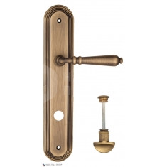 FCT2450 WC-2 PL288-BY матовая бронза