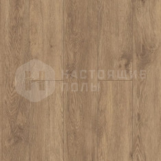 ECO 11-708 Гевуина, 1220*183*5 мм