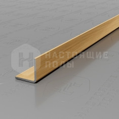 PVS98-04 нержавеющая сталь золото брашированное, 2700*10*10 мм