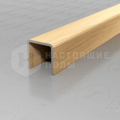 PVS97-04 нержавеющая сталь золото брашированное, 2700*10*10 мм