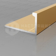 PV02-04 золото матовое, 2700*21.5*11 мм