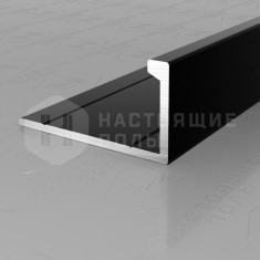 PV02-19 черный блестящий, 2700*21.5*11 мм