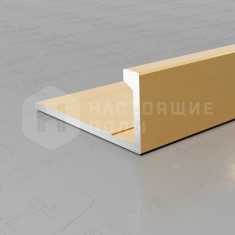 PV01-05 золото блестящее, 2700*21.5*9 мм