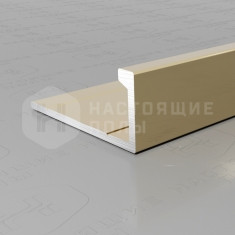 PV01-09 шампань блестящая, 2700*21.5*9 мм