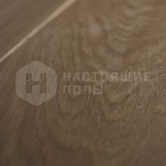 Дуб Пастель Прайм шип-паз, 500-1950*155*16 мм